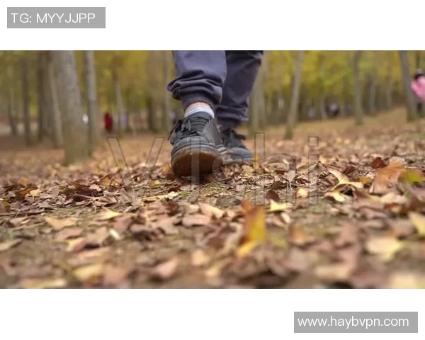 足球明星精彩步伐视频素材分享助你提升球技与观赏体验